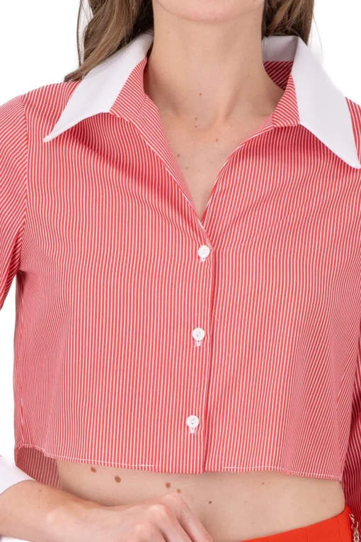 Camisa Crop Contraste