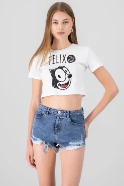 Crop feliz el gato