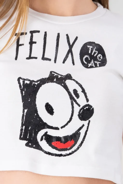 Crop feliz el gato