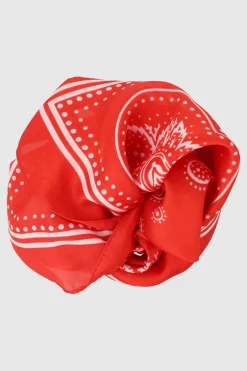 Pañuelo paysleys