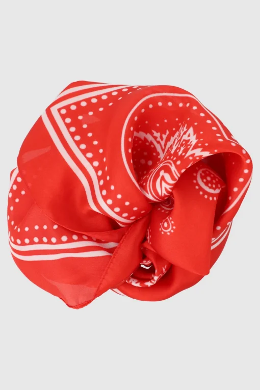 Pañuelo paysleys