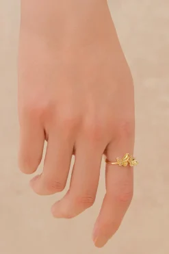 Anillo Mariposa Dolbe Pq