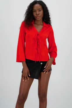 Blusa manga larga detale cuello lazos