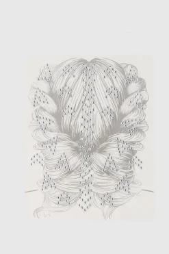 Brillos para cabello