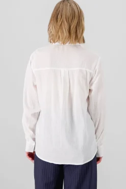 Camisa básica algodon