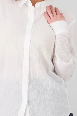 Camisa básica algodon