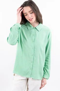 Camisa lisa manga larga