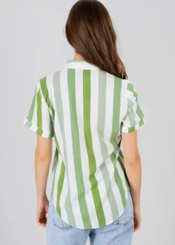 Camisa Manga Corta Rayada