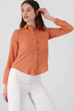 Camisa Manga Larga Lisa