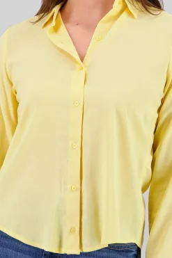 Camisa Manga Larga Lisa