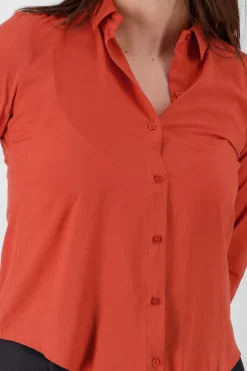 Camisa Manga Larga Lisa