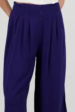 Pantalon 2 pinzas amplio