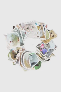 Set 50 stickers gatitos