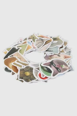 Set 50 stickers gatos divertidos