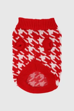 Suéter mascota estampado