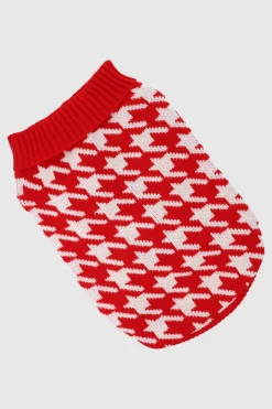 Suéter mascota estampado