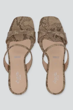 Tacon dos tiras serpiente