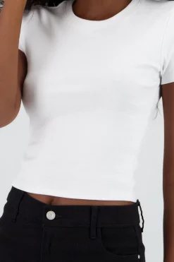 Top Manga Corta Cropped